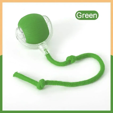 Speedy Tail 2.0 Interactive Cat Toy – USB Rechargeable Motion Ball