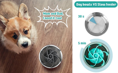 Slow Feeder Bowl Insert – Suction Cup Anti-Choking Pet Feeder