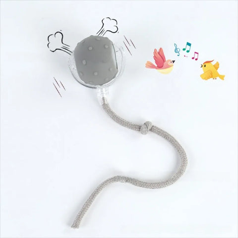 Automatic Rolling Cat Ball Toy – Rechargeable Interactive Toy with Bird Sounds