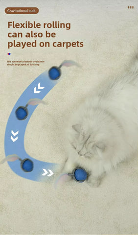 Speedy Tail 2.0 Interactive Cat Toy – USB Rechargeable Motion Ball