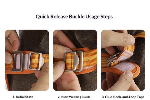 Anti-Pull Dog Harness & Leash Set – Reflective No-Pull Walking Harness