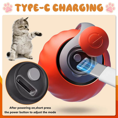 Speedy Tail 2.0 Interactive Cat Toy – USB Rechargeable Motion Ball