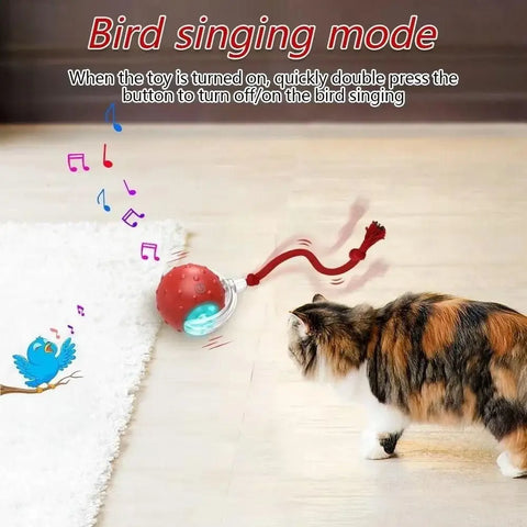 Automatic Rolling Cat Ball Toy – Rechargeable Interactive Toy with Bird Sounds