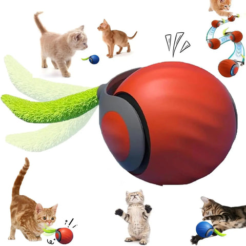 Speedy Tail 2.0 Interactive Cat Toy – USB Rechargeable Motion Ball