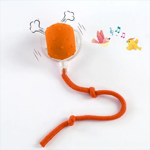 Automatic Rolling Cat Ball Toy – Rechargeable Interactive Toy with Bird Sounds