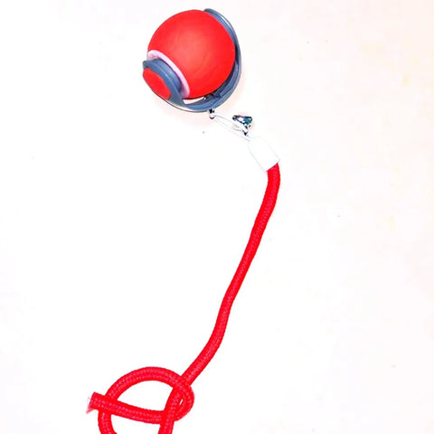 Automatic Rolling Cat Ball Toy – Rechargeable Interactive Toy with Bird Sounds