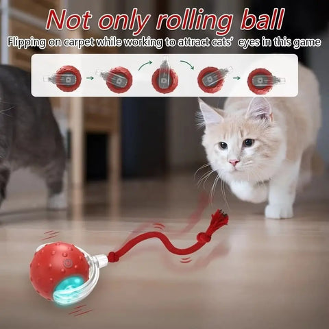 Automatic Rolling Cat Ball Toy – Rechargeable Interactive Toy with Bird Sounds