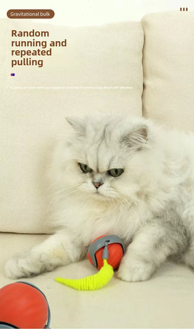 Speedy Tail 2.0 Interactive Cat Toy – USB Rechargeable Motion Ball