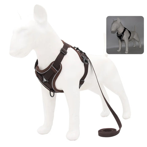 Dog Harness & Leash Set – Adjustable Vest Harness for Small Breeds