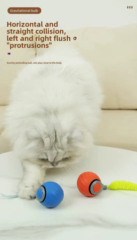Speedy Tail 2.0 Interactive Cat Toy – USB Rechargeable Motion Ball