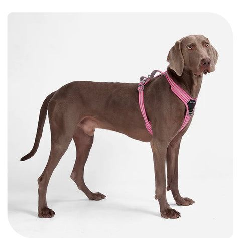 Anti-Pull Dog Harness & Leash Set – Reflective No-Pull Walking Harness
