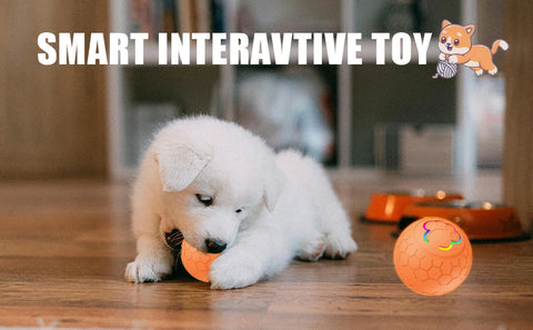 Smart Interactive Dog Ball – USB Rechargeable LED Bouncing Toy