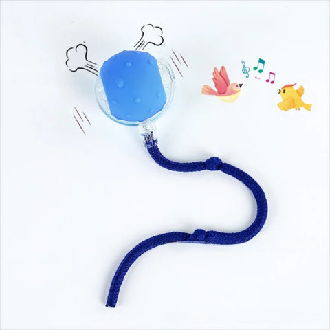 Automatic Rolling Cat Ball Toy – Rechargeable Interactive Toy with Bird Sounds