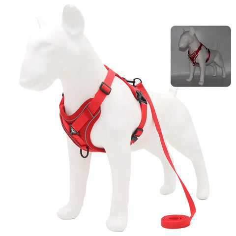 Dog Harness & Leash Set – Adjustable Vest Harness for Small Breeds