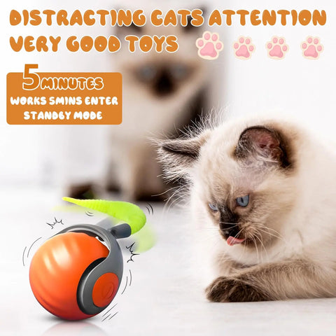 Speedy Tail 2.0 Interactive Cat Toy – USB Rechargeable Motion Ball