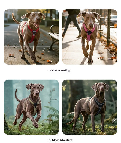 Anti-Pull Dog Harness & Leash Set – Reflective No-Pull Walking Harness